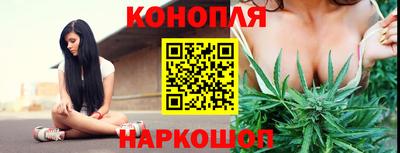 мяу мяу мука Гусь-Хрустальный